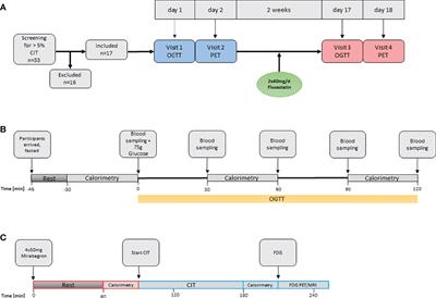 Fluvastatin Reduces Glucose Tolerance in Healthy Young Individuals Independently of Cold Induced BAT Activity